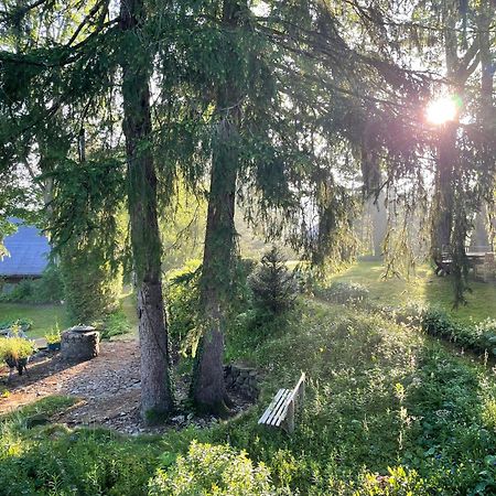 Liebevoll Eingerichtetes Ferienhaus Mit Grossem Garten Clausthal-Zellerfeld Exteriér fotografie