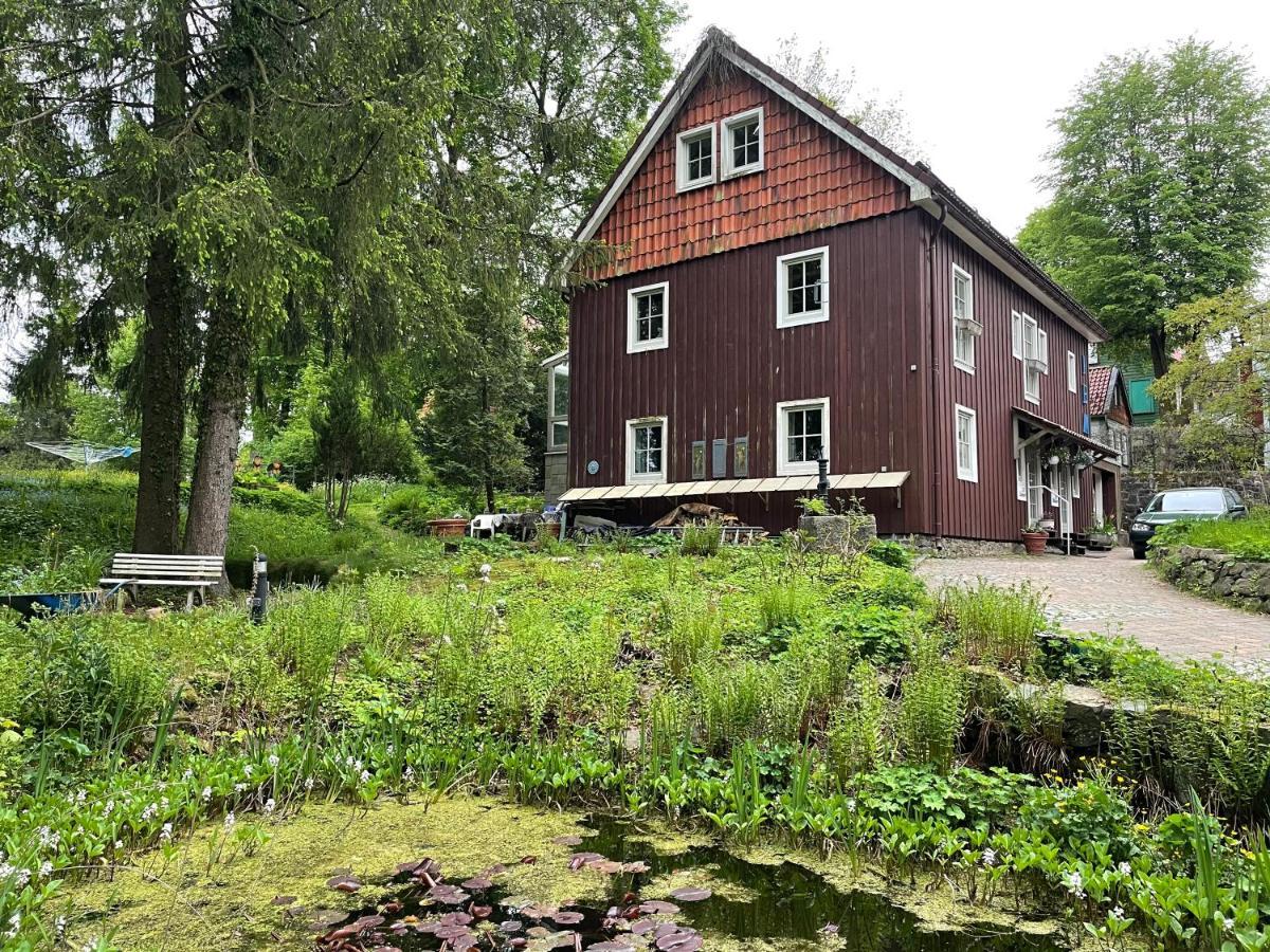 Liebevoll Eingerichtetes Ferienhaus Mit Grossem Garten Clausthal-Zellerfeld Exteriér fotografie