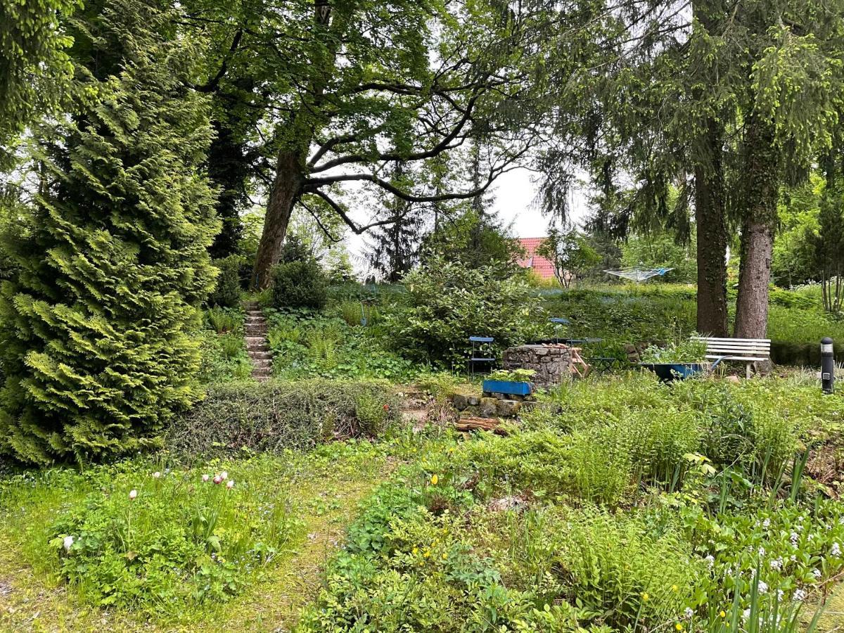 Liebevoll Eingerichtetes Ferienhaus Mit Grossem Garten Clausthal-Zellerfeld Exteriér fotografie