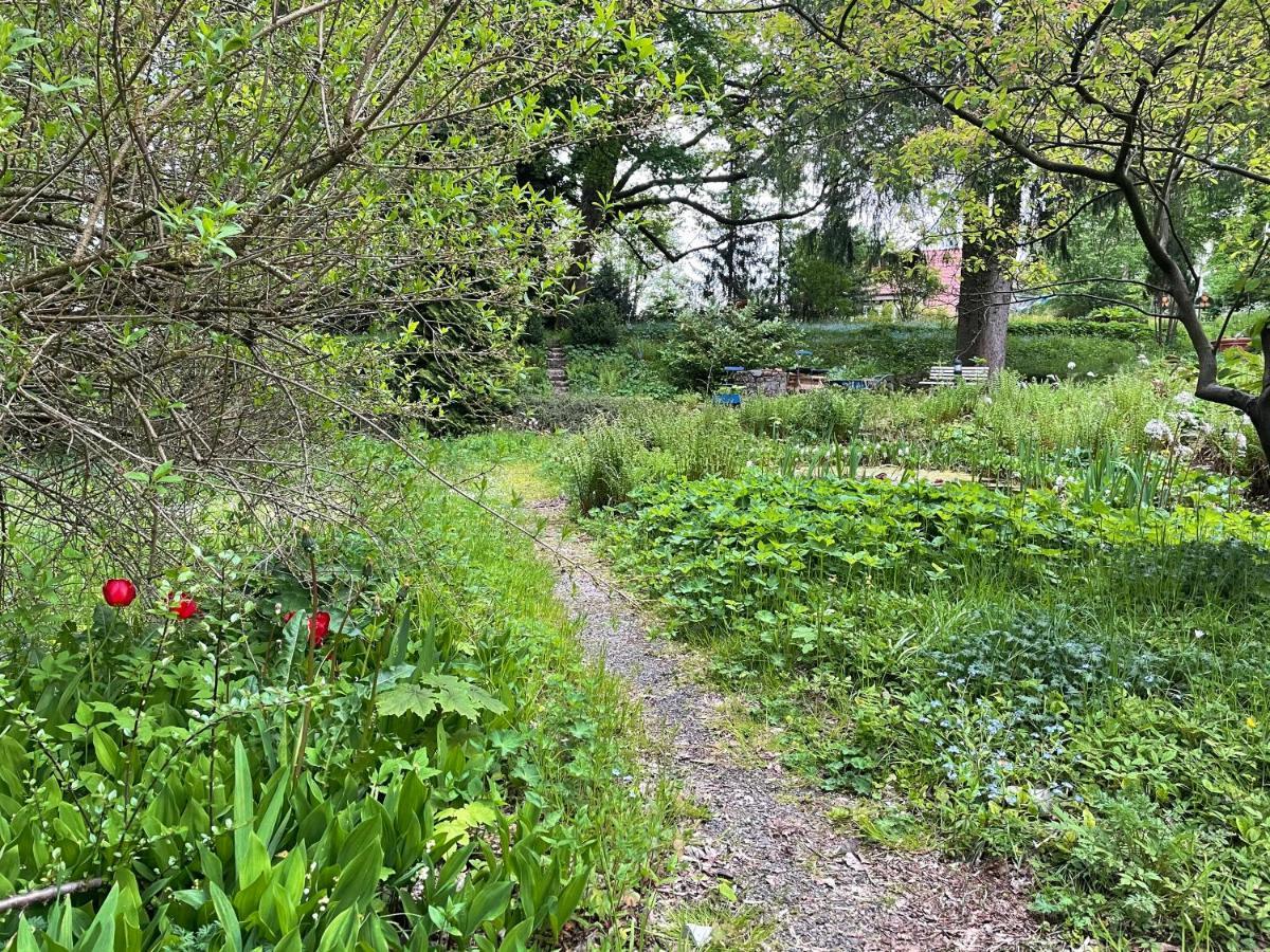Liebevoll Eingerichtetes Ferienhaus Mit Grossem Garten Clausthal-Zellerfeld Exteriér fotografie