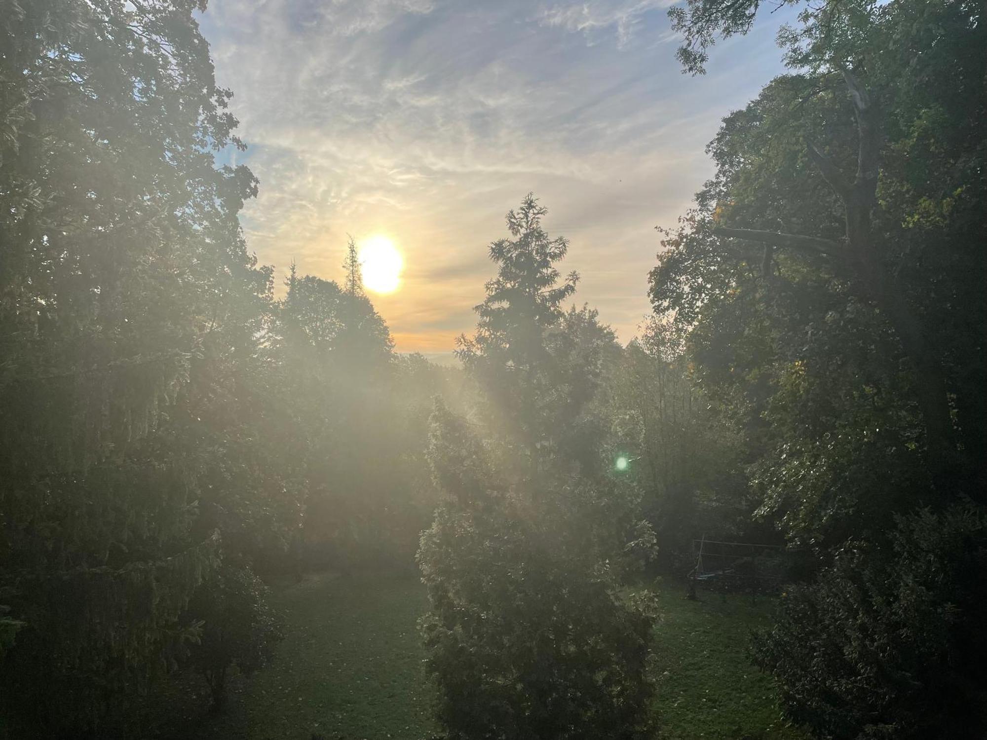 Liebevoll Eingerichtetes Ferienhaus Mit Grossem Garten Clausthal-Zellerfeld Exteriér fotografie