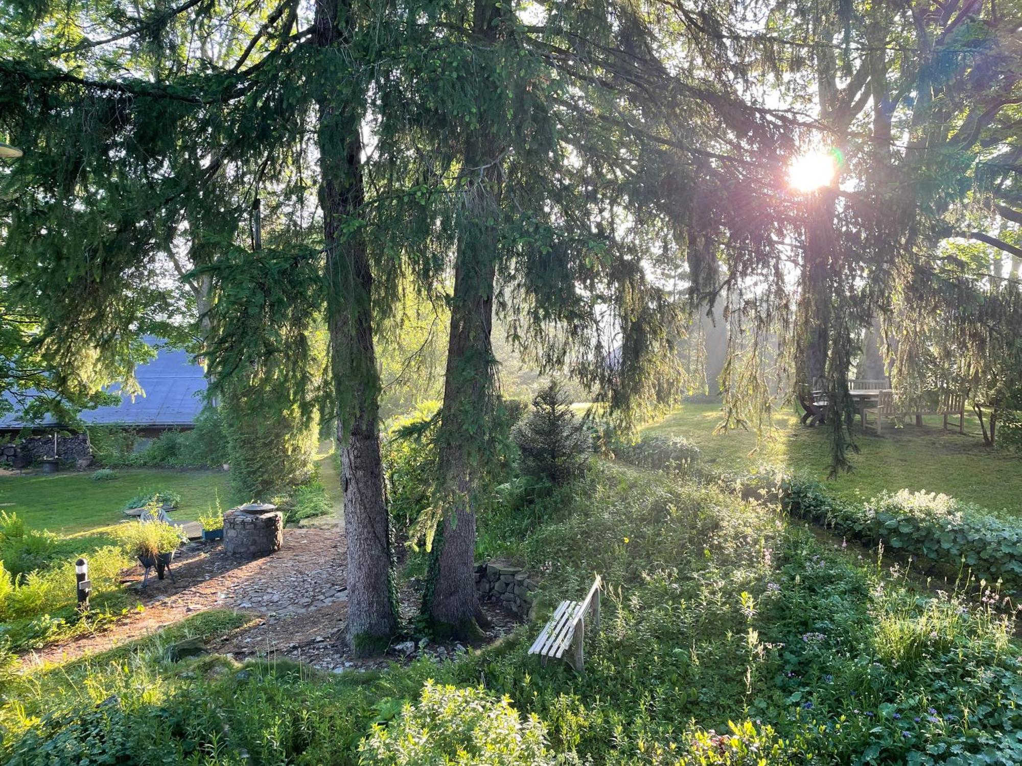 Liebevoll Eingerichtetes Ferienhaus Mit Grossem Garten Clausthal-Zellerfeld Exteriér fotografie